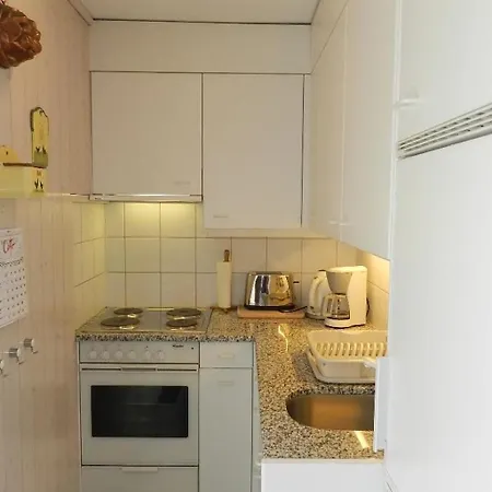 Suzanne Nr- 27 Appartement-fewo- Dusche Oder Bad- Wc 2-bettwohnung By Interhome * Saanen